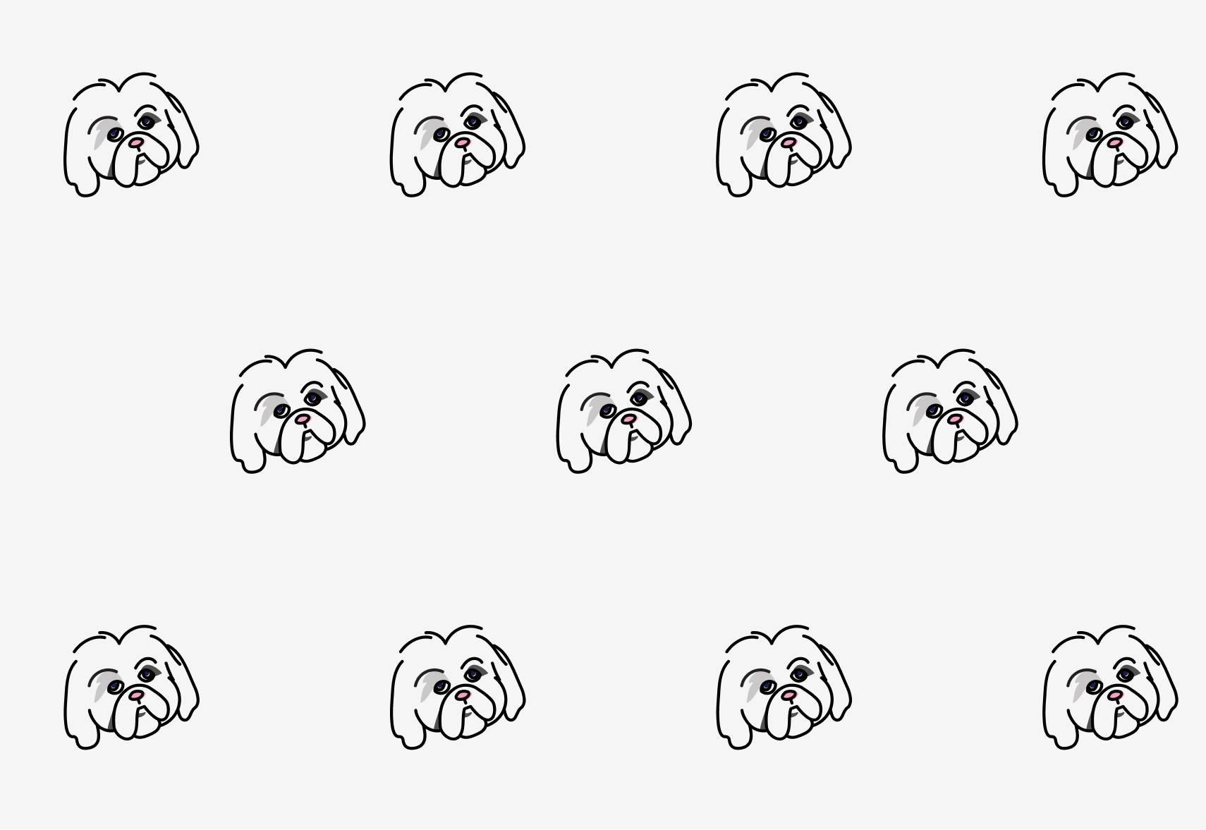 Havanese Pet Insurance Fetch Pet Insurance